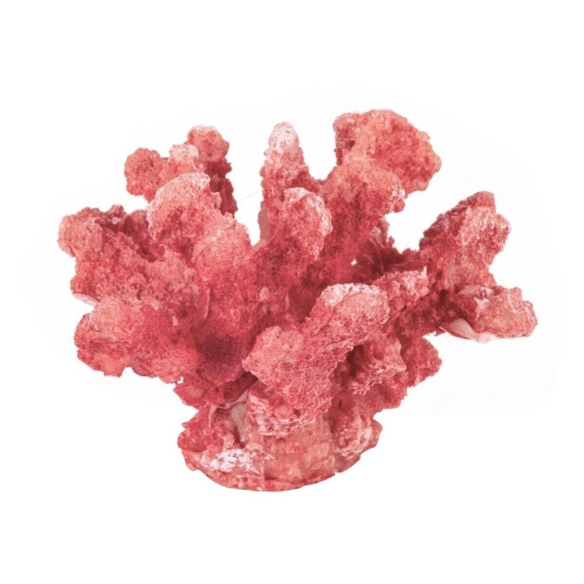 Signes Grimalt  Ornament Coral Mar.  Červená