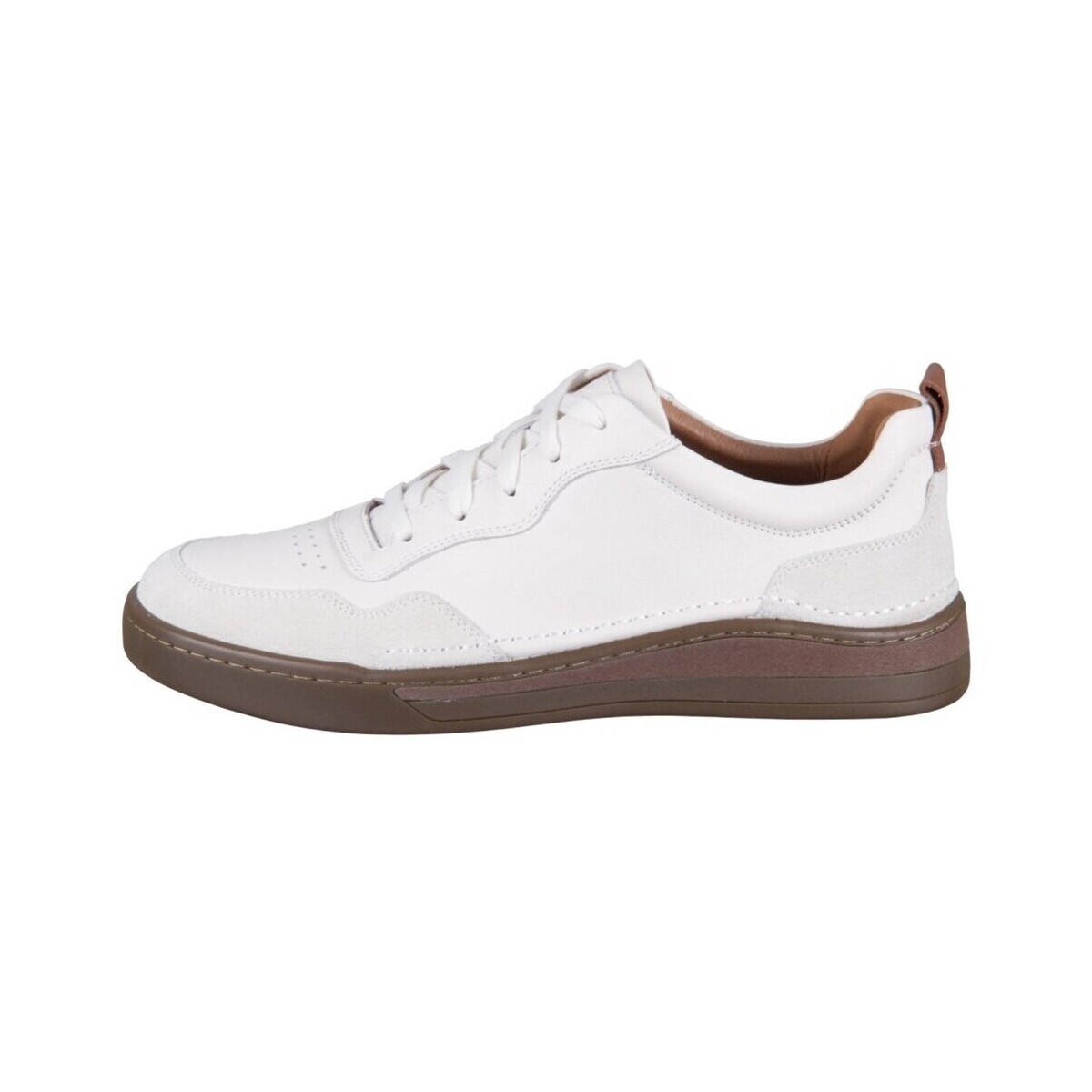 Josef Seibel  Cleve  Bílá