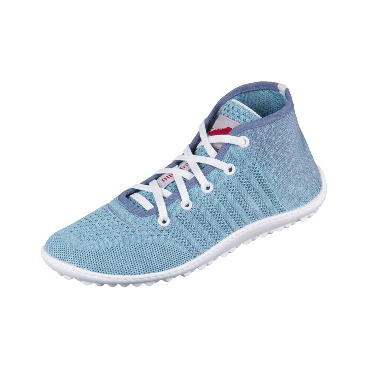 Leguano  10045015  ruznobarevne