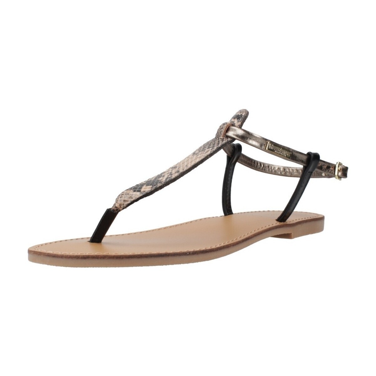 Les Tropéziennes par M Belarbi  HARVIL S  ruznobarevne