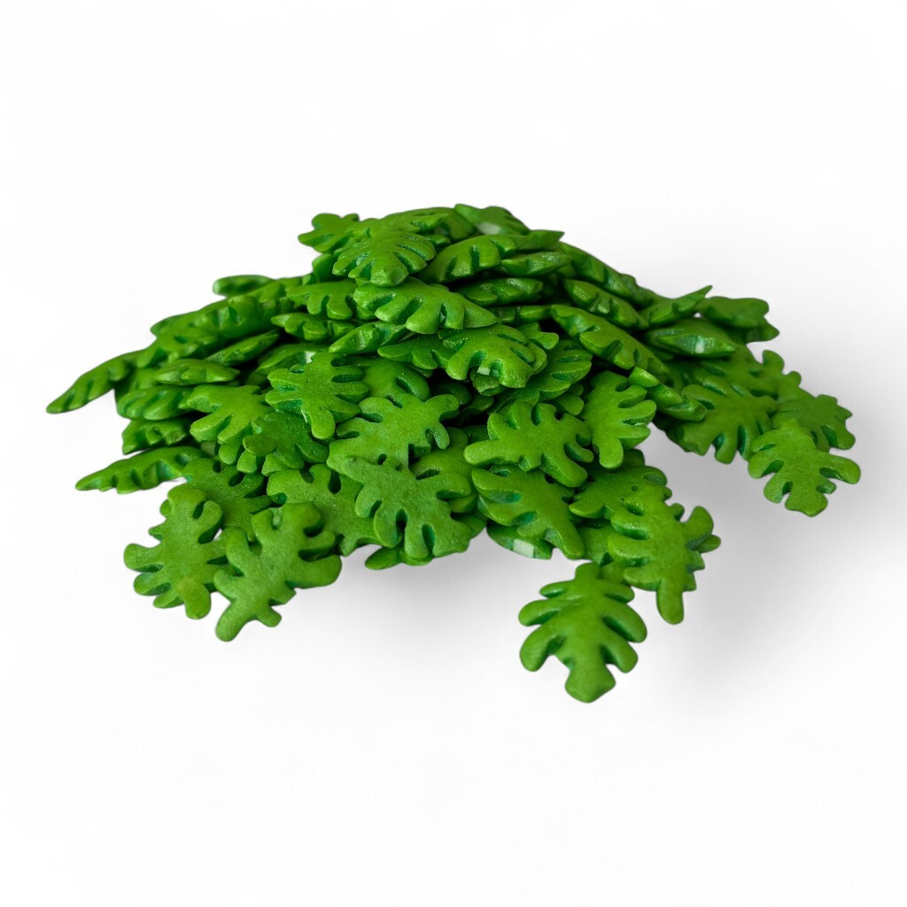 Hospodyňkám.cz Cukrové Listy Monstera 25g