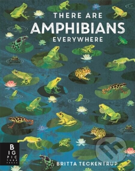 There Are Amphibians Everywhere - Camilla de la Bedoyere