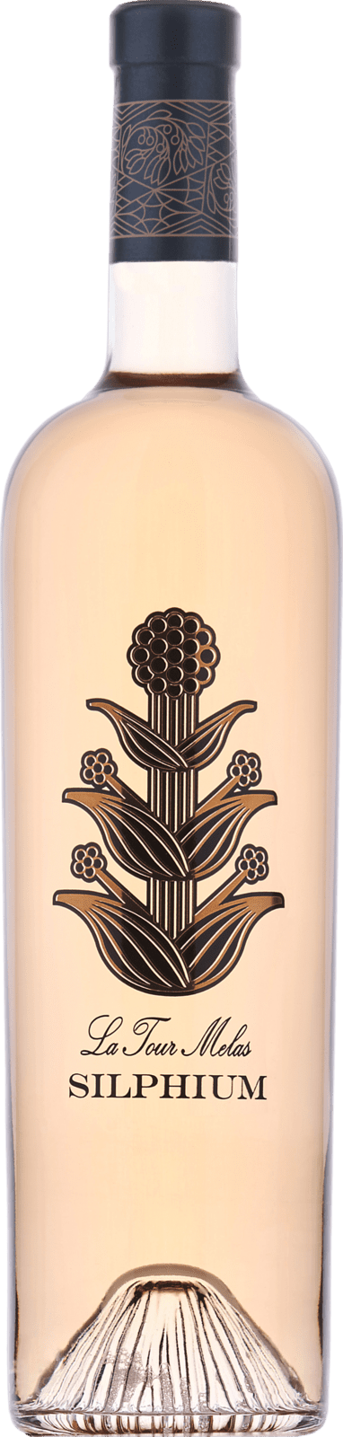 La Tour Melas Silphium Rose 2024
