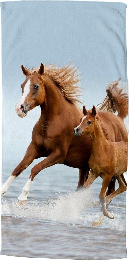 Modrá/hnědá dětská sametová plážová osuška 75x150 cm Free – Good Morning