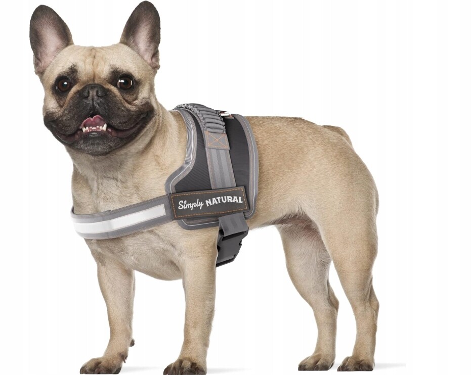 Postroj Pro Psa Pevný, Nastavitelný, Proti Tahání, Reflexní Velikost M