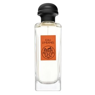 Hermès Eau D'Hermes toaletní voda unisex 100 ml