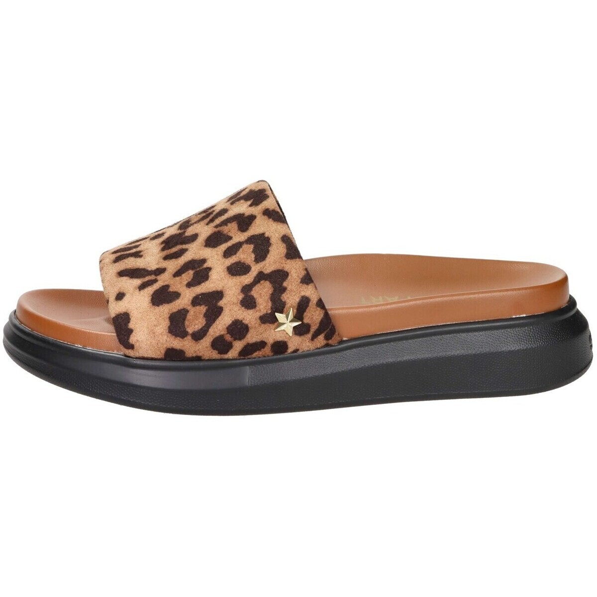 Shop Art  SASS250261