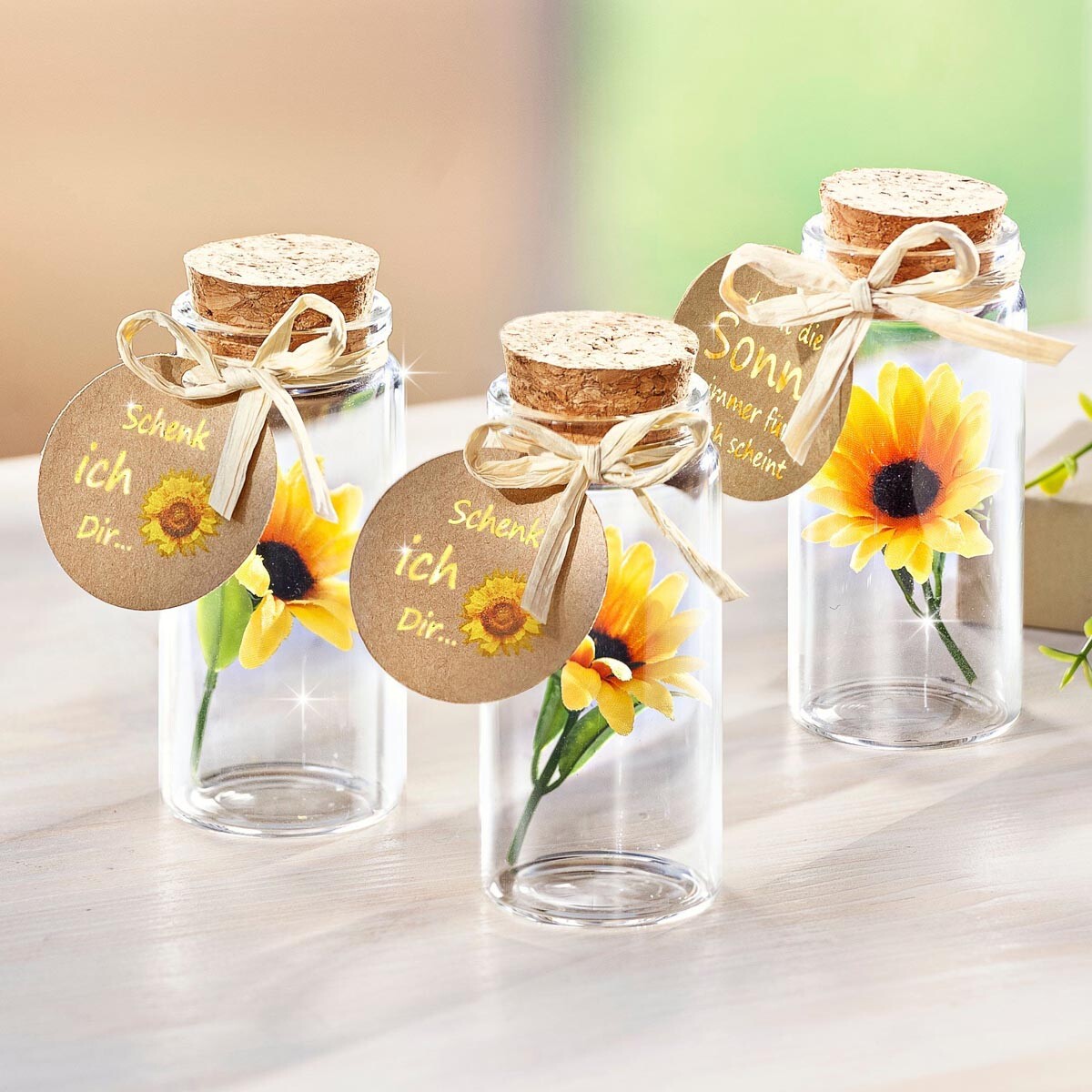 Weltbild Dárková sada Slunečnice ve sklenici, 3 ks