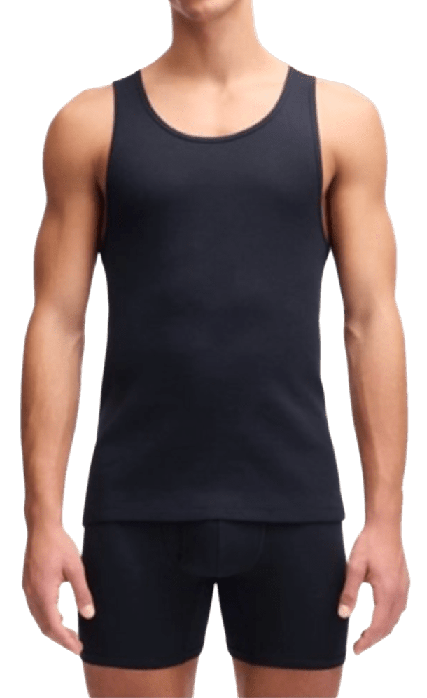 Tílko Under Armour Under Armour Performance Tank 2 Pack Underwear Shirt