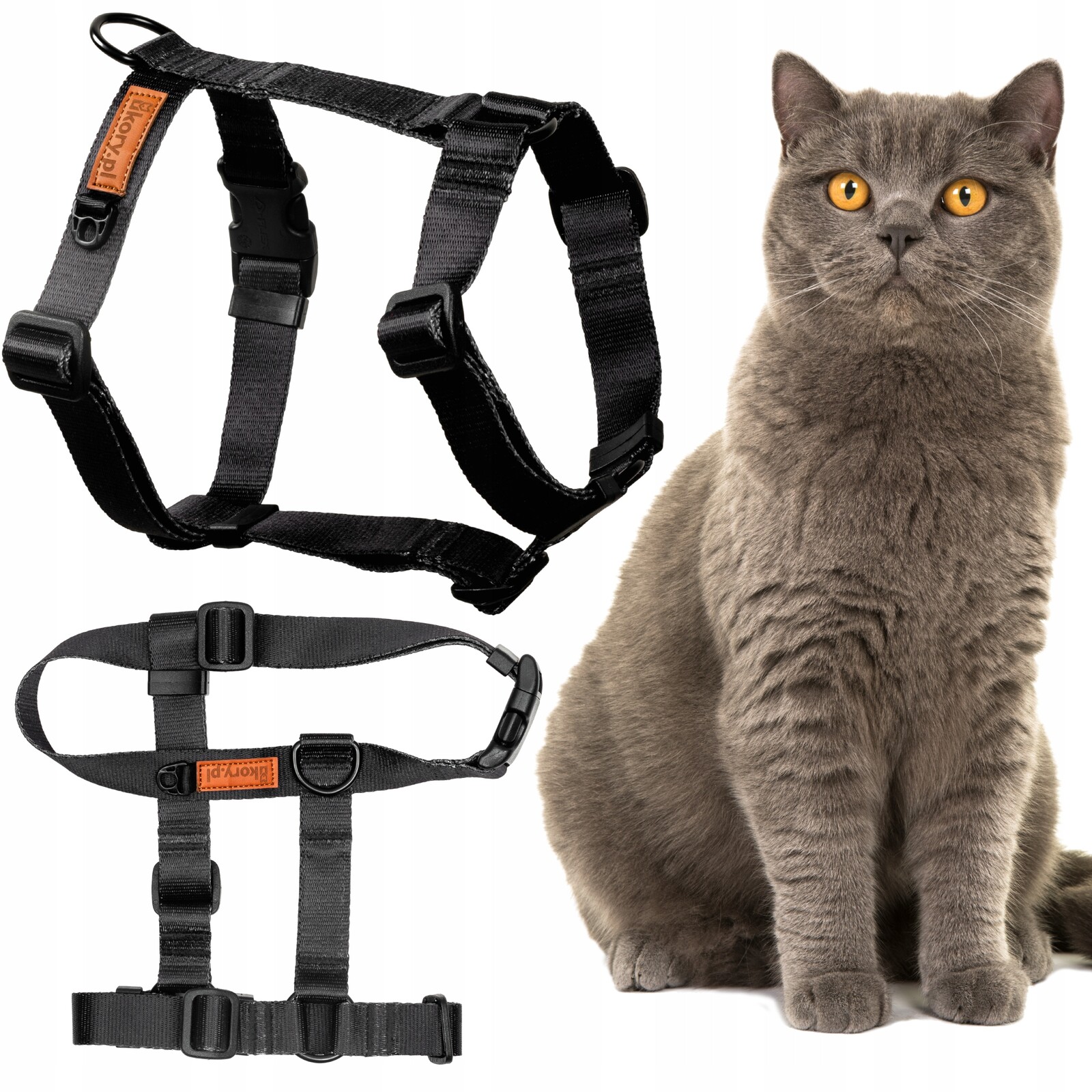 Šle guard pro kočky britské exotické nastavitelné Ukory Černé