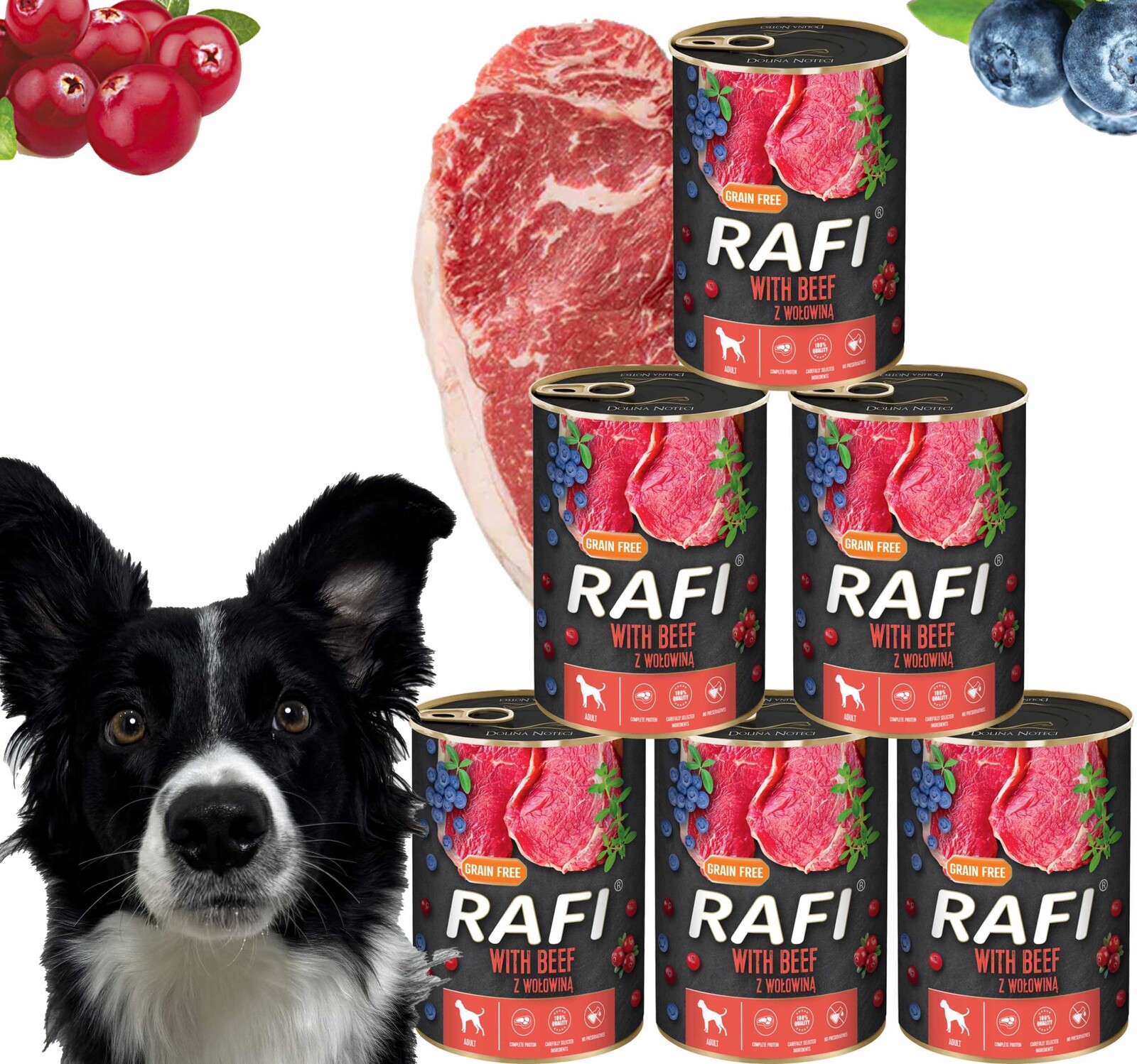 Krmivo pro psy Rafi s hovězím masem, borůvkou a brusinkami 400 g 6 ks Rafi