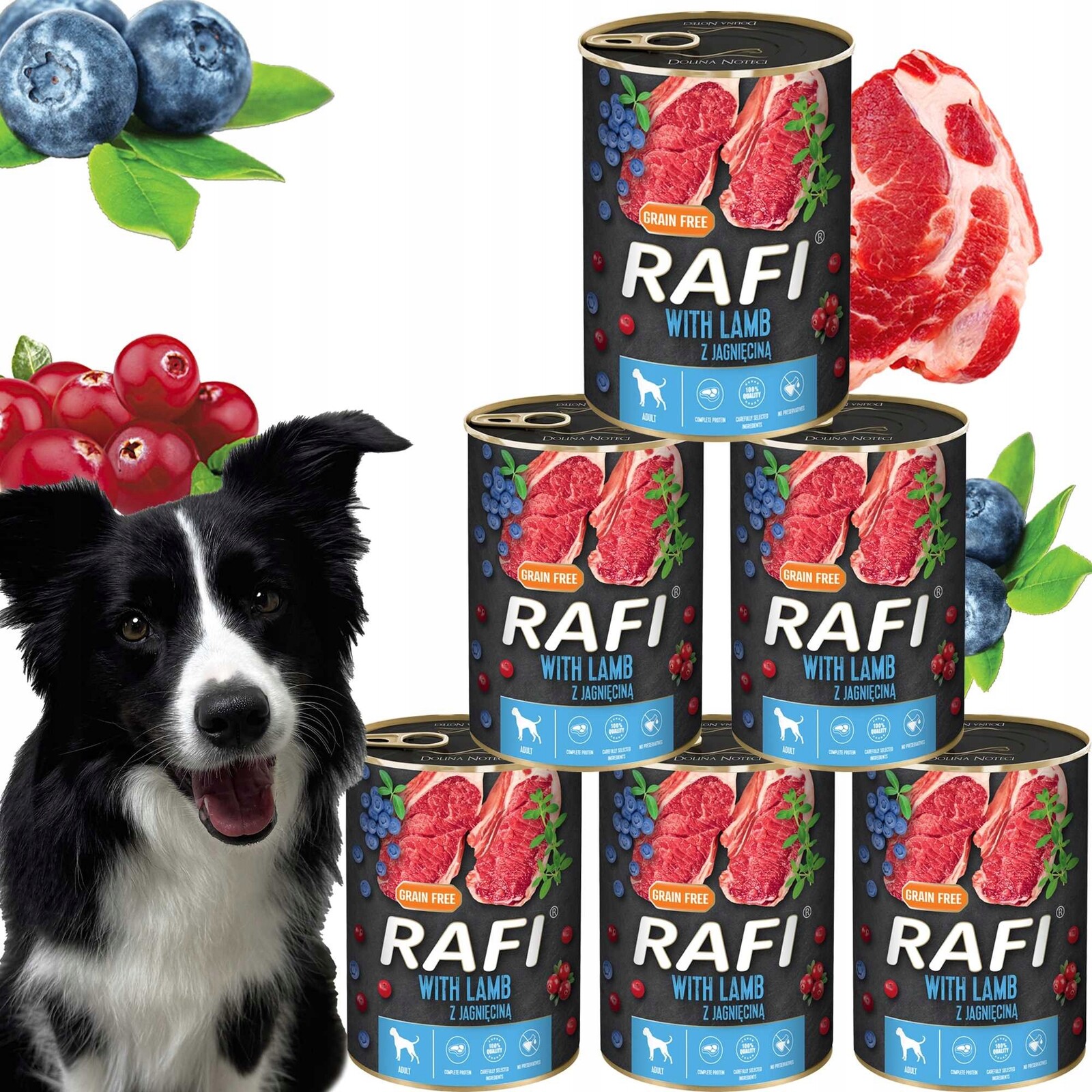 Krmivo pro psy Rafi s jehněčím masem, borůvkou a brusinkami 400 g 6 ks Ra