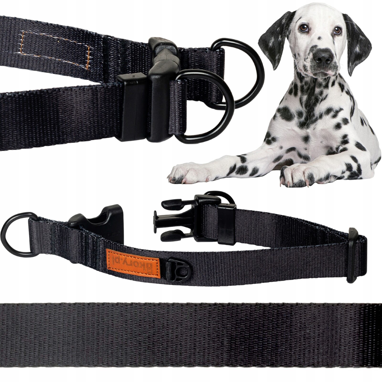 Odolný, silný Obojek pro velkého psa s labradorem L/XL 30 mm Ukory