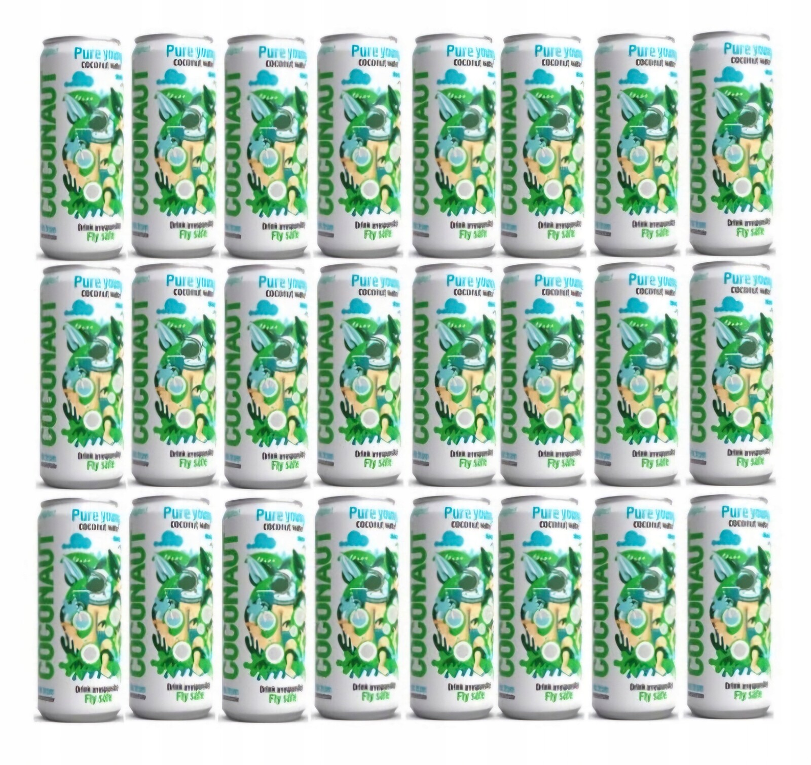 Přírodní kokosová voda 24x320 ml