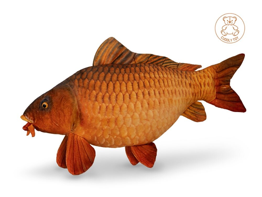 Delphin Plyšový kapr Carpy