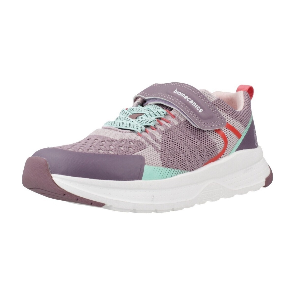 Biomecanics  251250B  Fialová