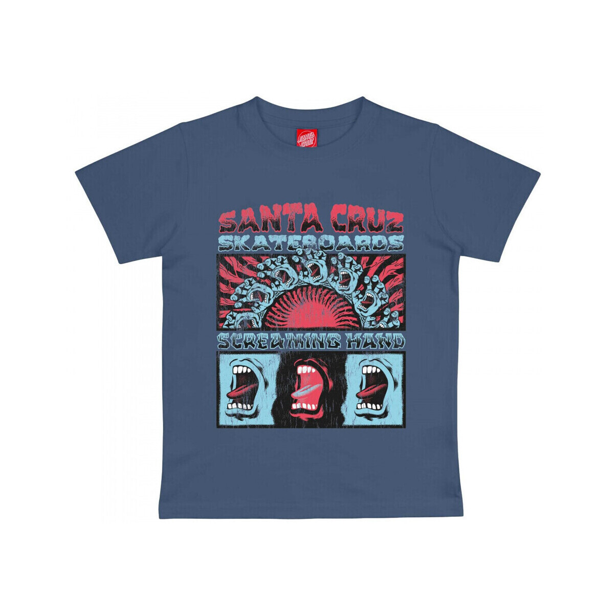 Santa Cruz Youth vtg screaming connect Modrá