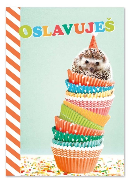 Ditipo Hrací blahopřání - Pongo, Míša Růžičková - c023002