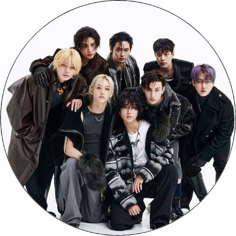 Jedlý papír Stray Kids19,5cm - Pictu Hap