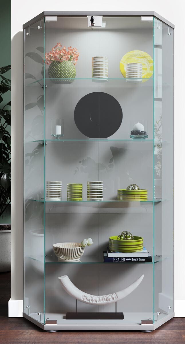 Volně stojící vitrína Cenila L, stříbrná