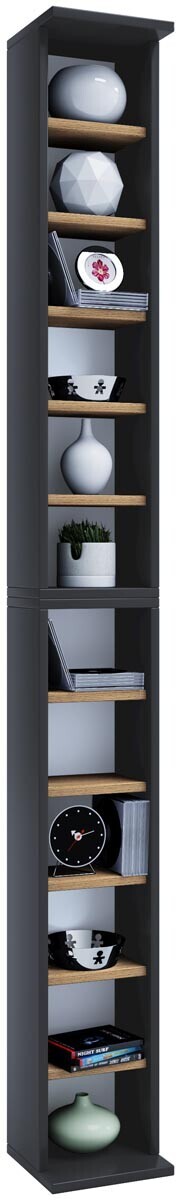 Archivační systém Bigol pro 204 CD, antracit