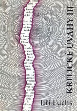 Kritické úvahy III