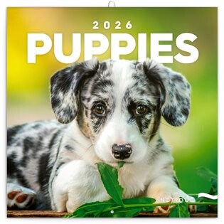Poznámkový kalendář Štěňata 2026