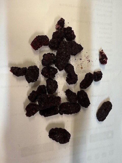 Moruše – černý lyofilizovaný plod 1 kg Rafex