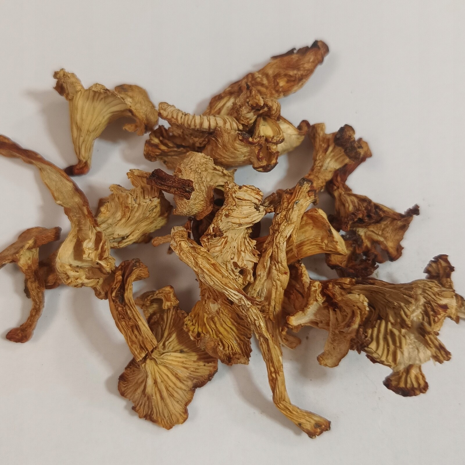 Kurka Sušený pepřovník 1 kg Rafex