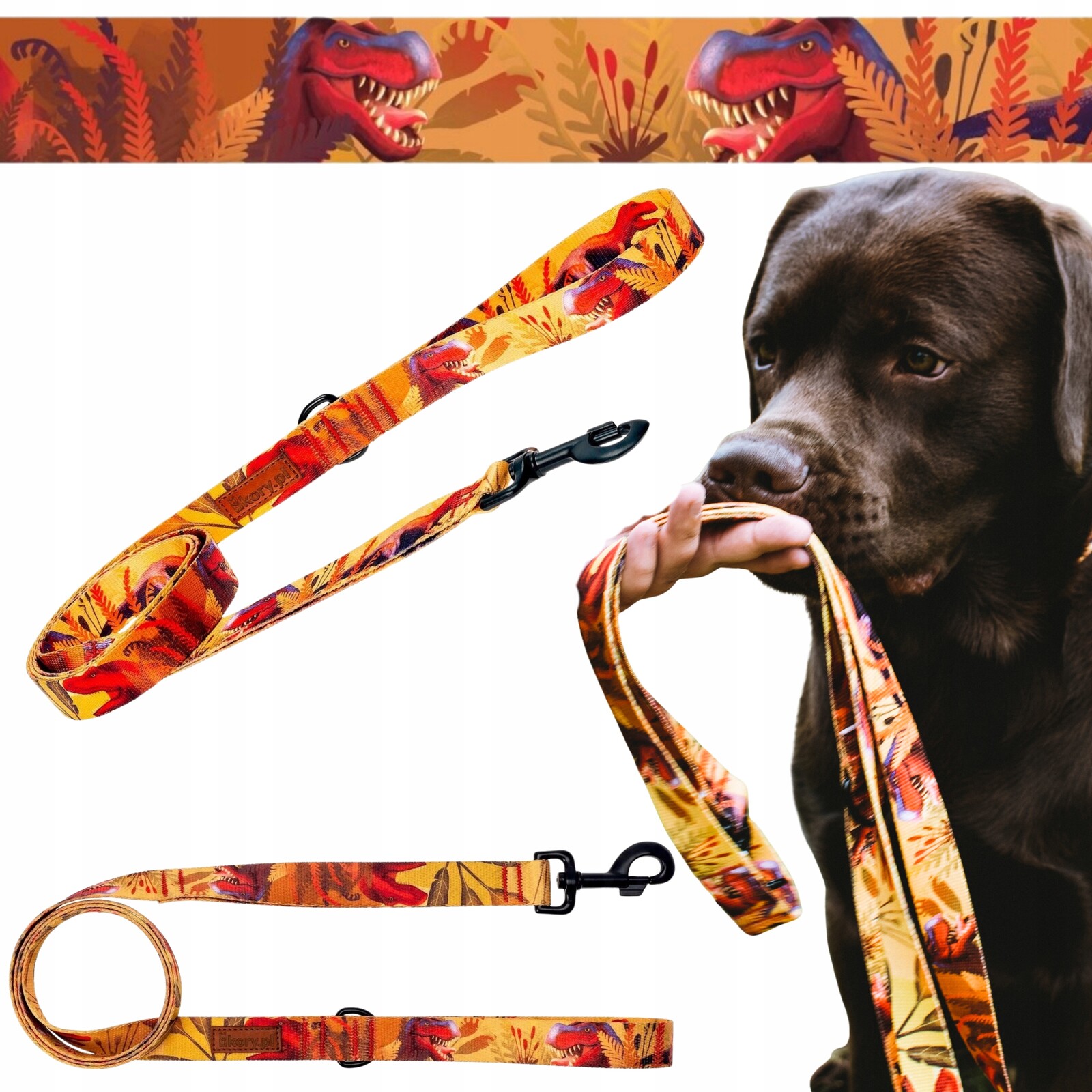 Vodítko jednoduchá pro malého psa štěněte do 6 kg 150 cm Ukory vzor Dinosauři