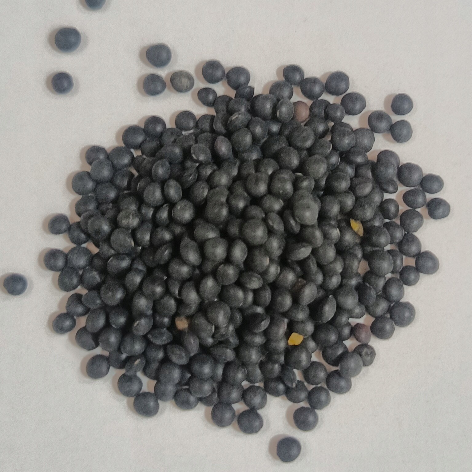 Beluga Černá Čočka 25 kg Rafex