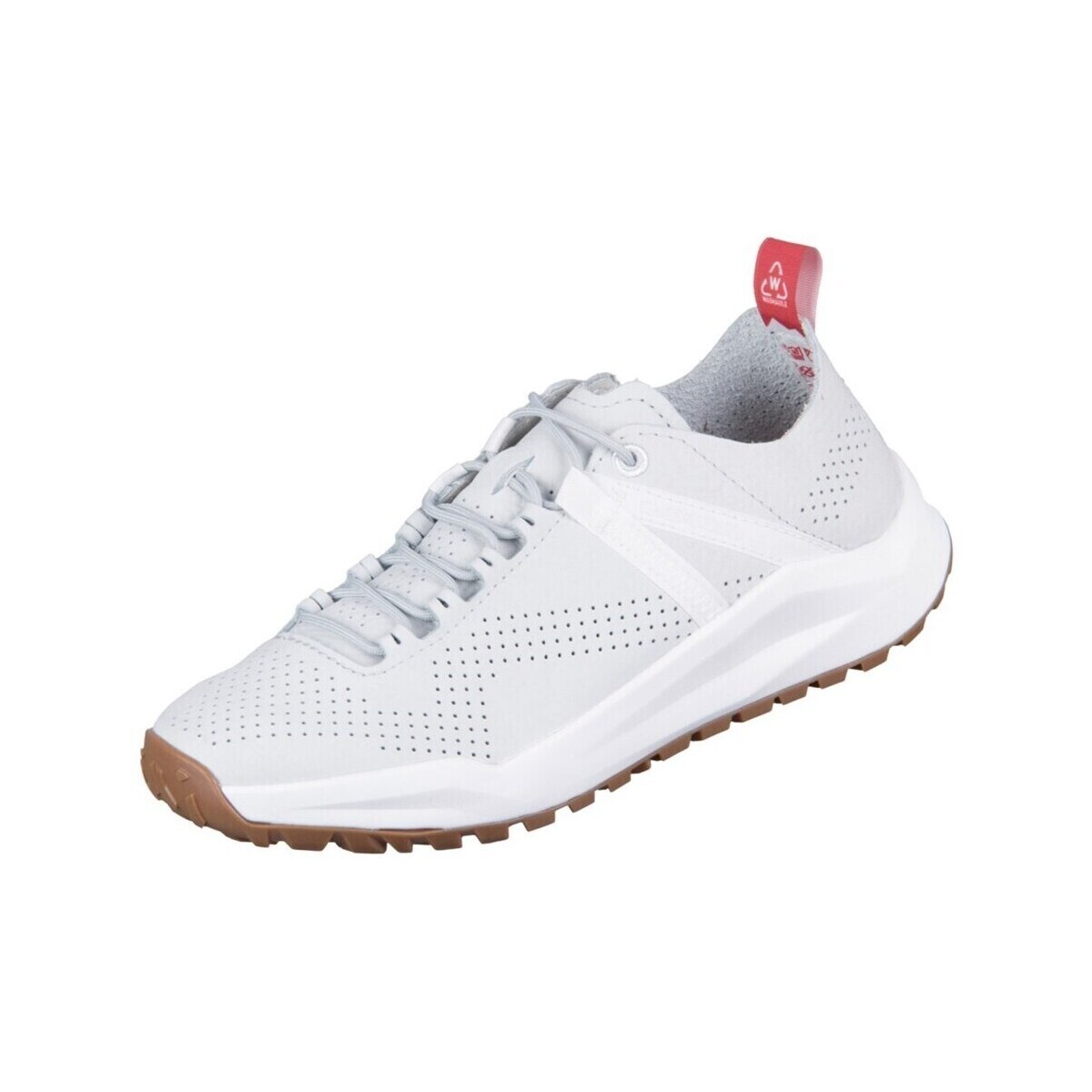 Lowa  Kaloya Ltws  ruznobarevne