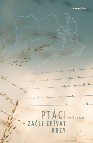 Ptáci začli zpívat brzy - Matěj Krajči - e-kniha