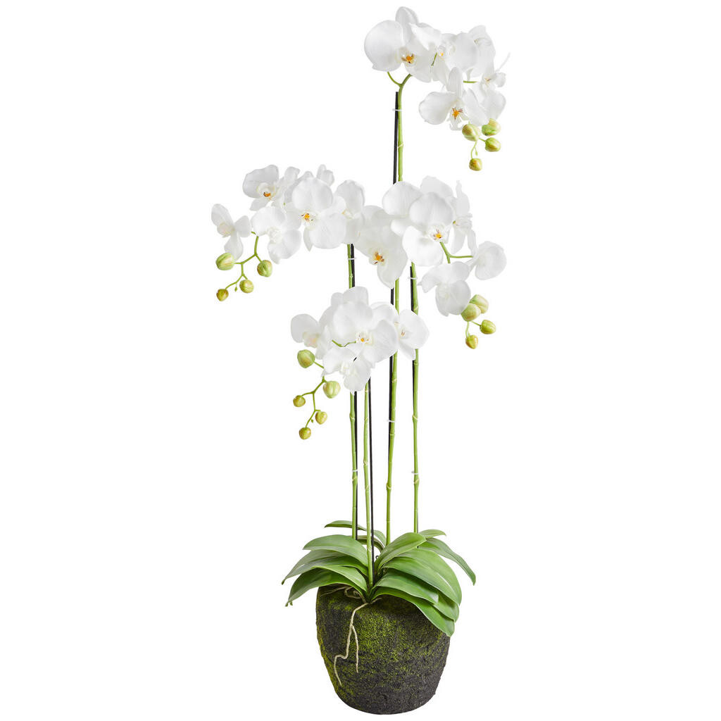 XXXL ORCHIDEJ 100 cm