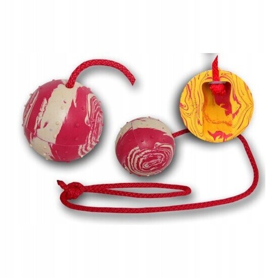 Míček pro psy Fixi