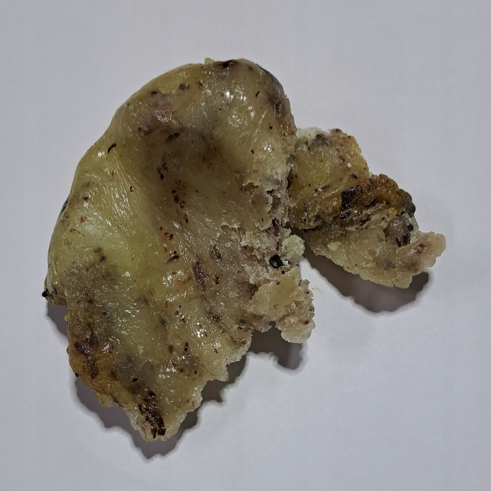 Elemi Pryskyřice Canarium Luzonicum 100 G Rafex