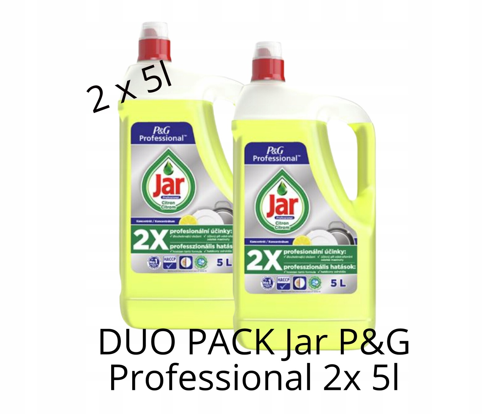 Duo Pack Jar P&g Professional 2x 5l