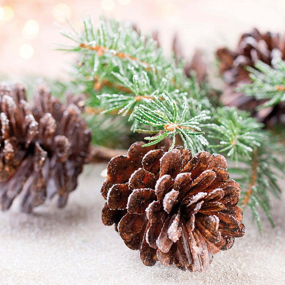 Ubrousky v sadě 20 ks 33x33 cm Noel – Homéa