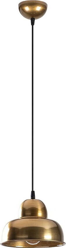 Závěsné svítidlo ve zlaté barvě s kovovým stínidlem ø 20 cm Berceste – Opviq lights