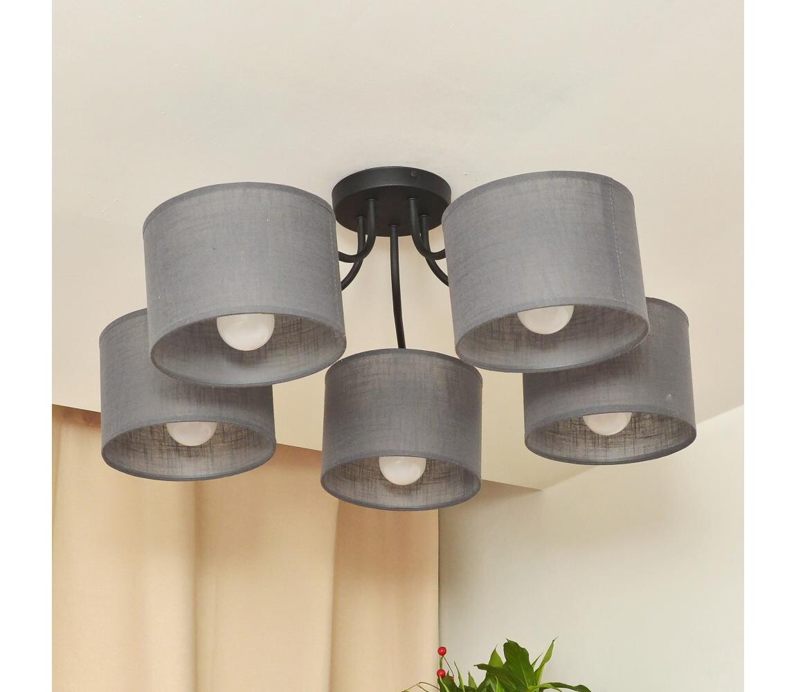 Přisazený lustr ALBA 5xE27/15W/230V šedá