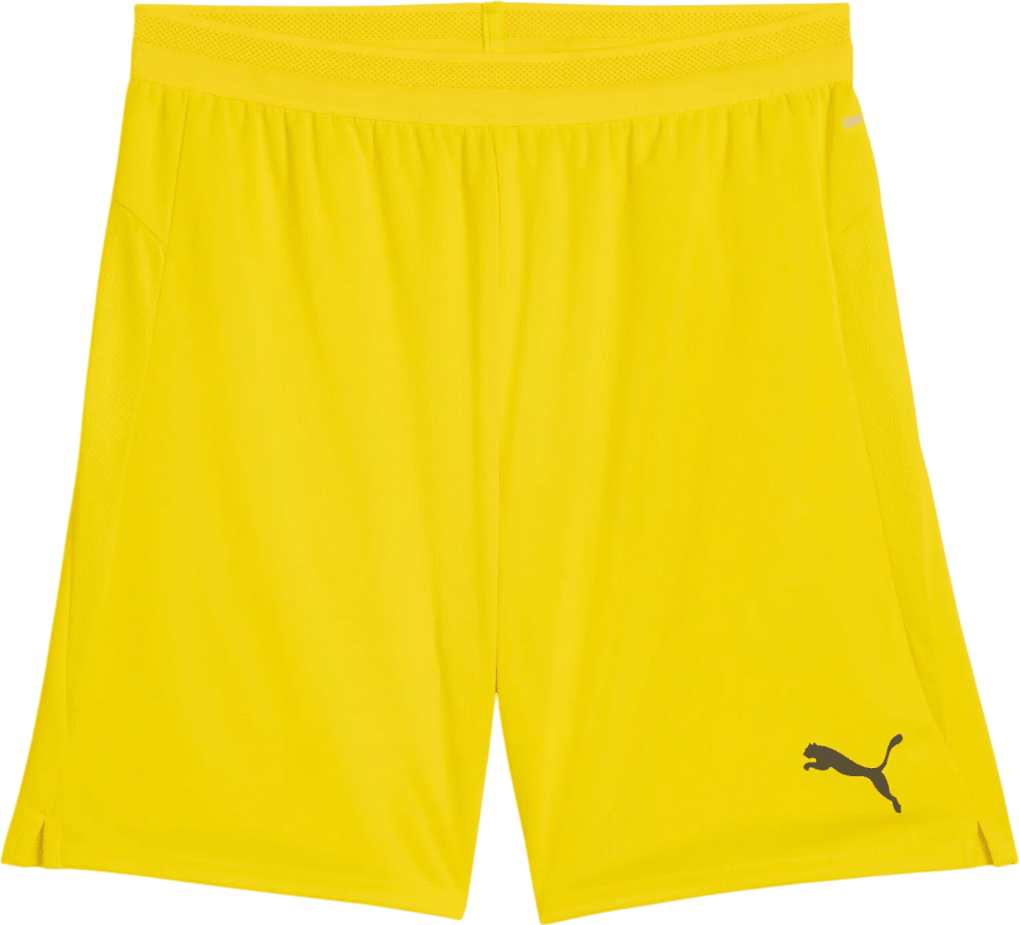 Šortky Puma teamCup Short