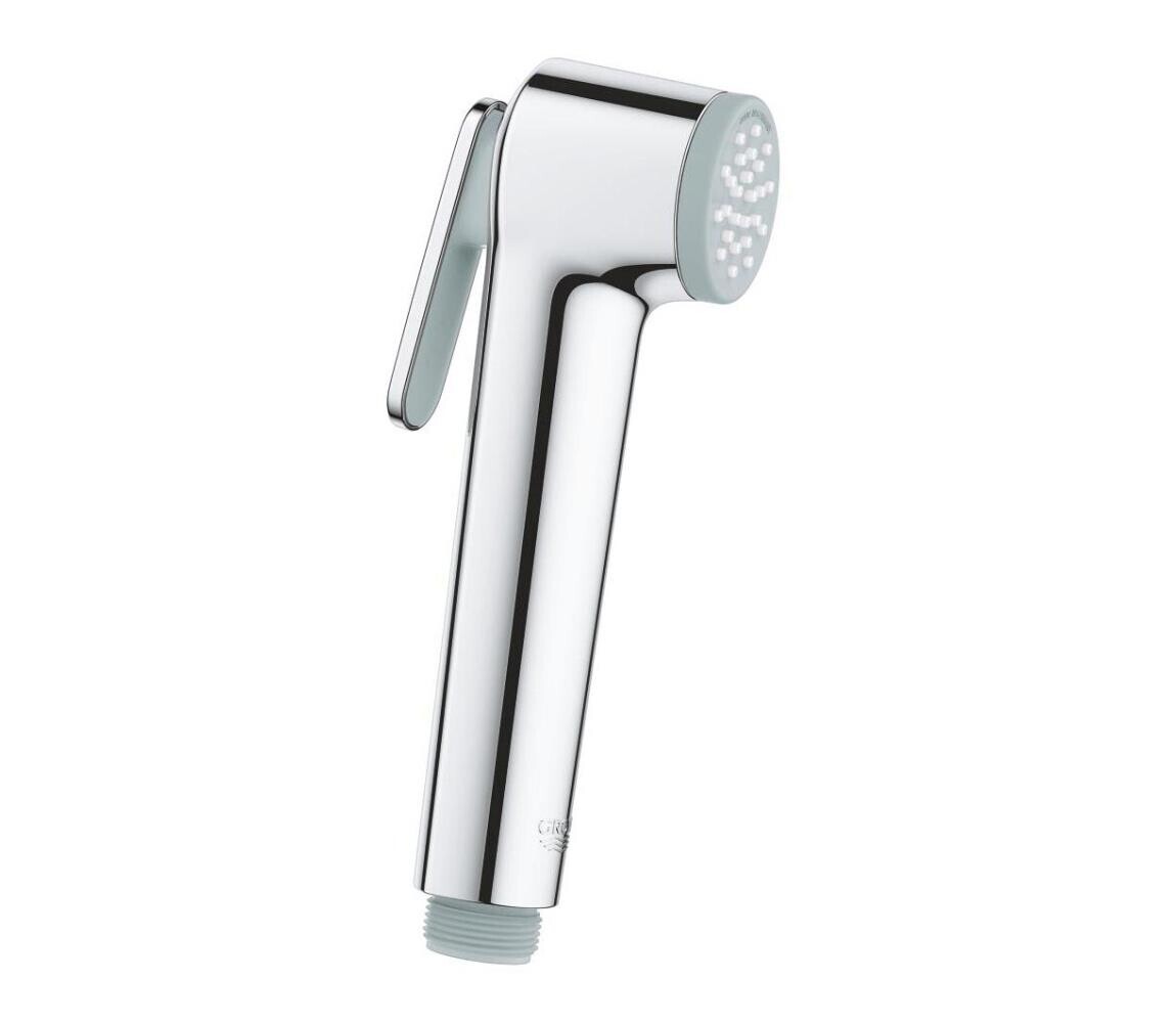 GROHE GROHE 26506000 - Ruční sprcha TEMPESTA-F 36 mm lesklý chrom