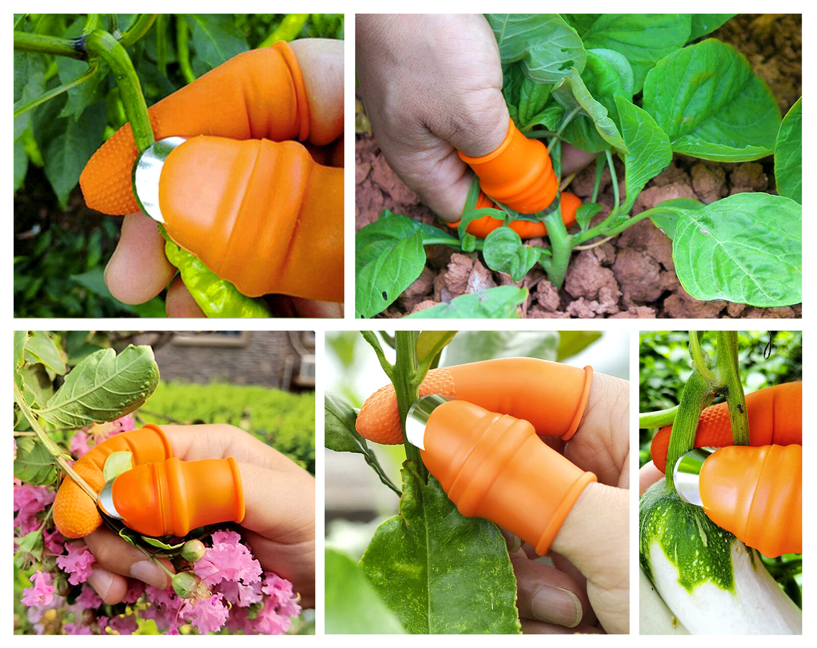 PRSTONŮŽ 2v1 | zahradní nůž na zaštipování | bylinky, květy, ovoce & zelenina