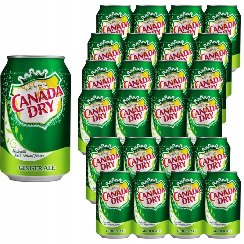 Canada Dry Ginger Sycený nápoj s zázvorovou příchutí 330 ml x 24 kusů