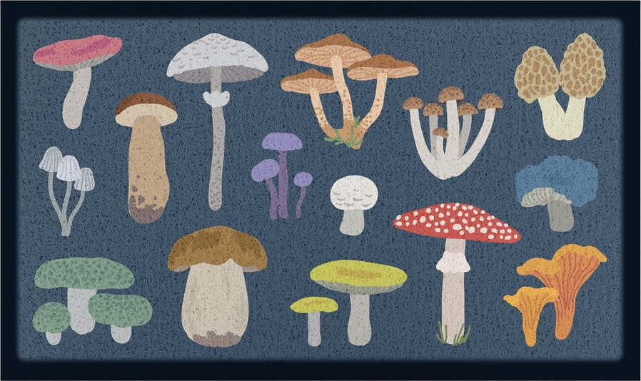 Rohožka 60x90 cm Mixed Wild Mushroom – Artsy Doormats