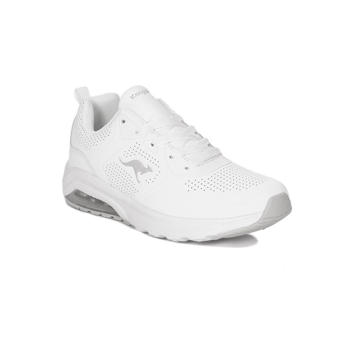 Kangaroos  392670002  Bílá