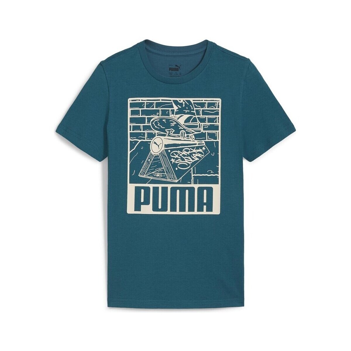 Puma  Ess+ Mid 90s Graphic Tee  ruznobarevne