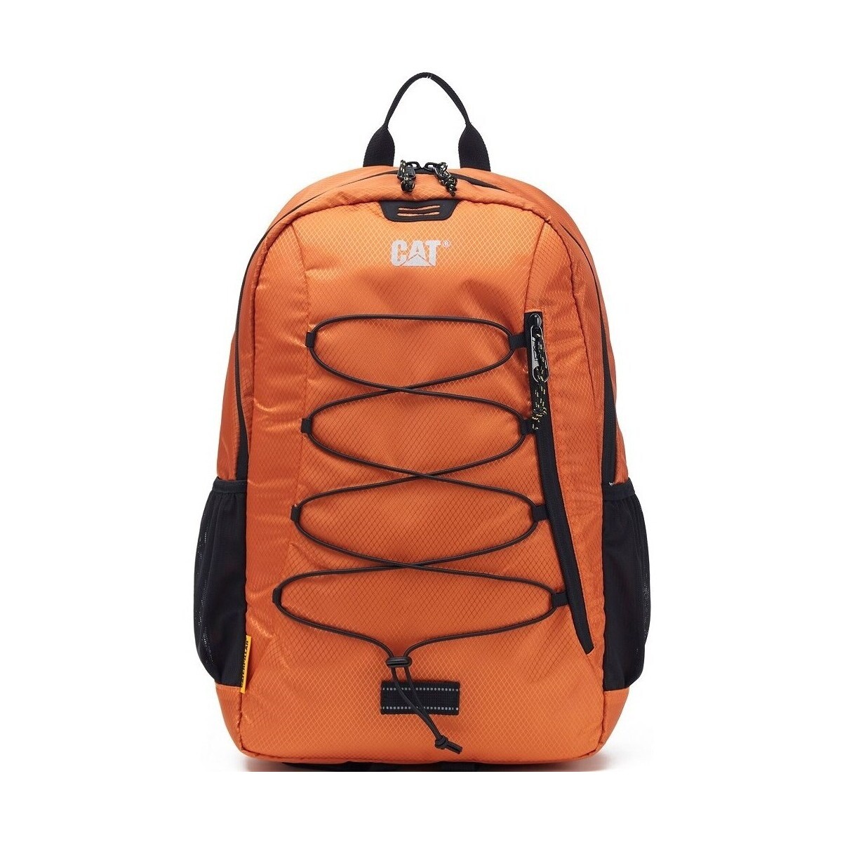 Caterpillar  Himalayas  ruznobarevne