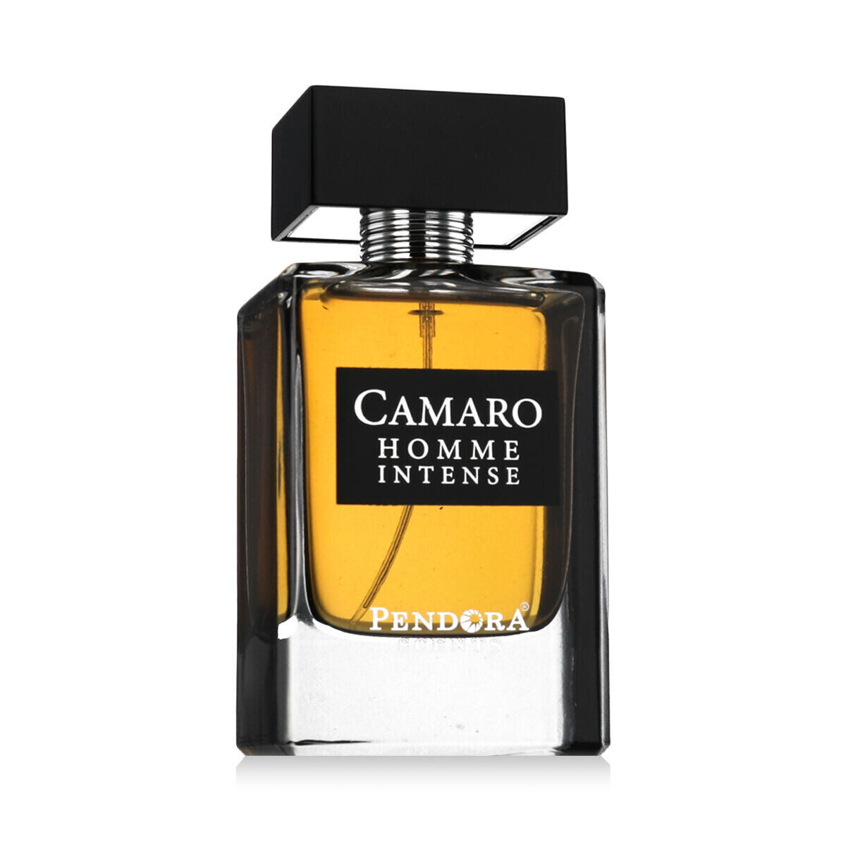 Pendora Scents Camaro Homme Intense 100 ml parfémovaná voda pro muže