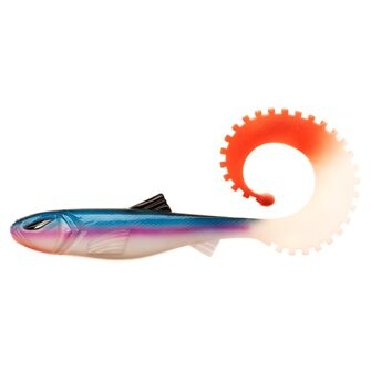 INTENSA MONSTER SOFT LURES A 20cm